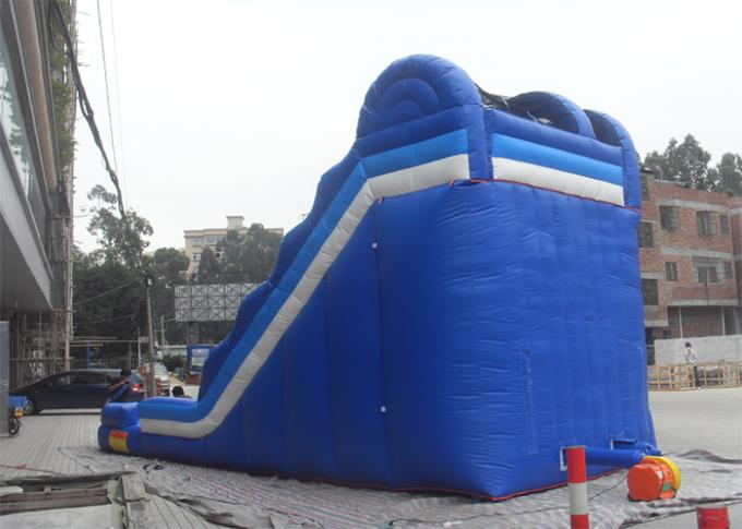 아이와 성인을 위한 수영장/팽창식 물 미끄럼을 가진 전멸 PVC 팽창식 거대한 활주
